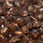 Adagio Teas Oolong Tea, Jasmine Pearls 3