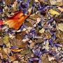 Choice Organic Lemon Lavender Mint Her Tea 31