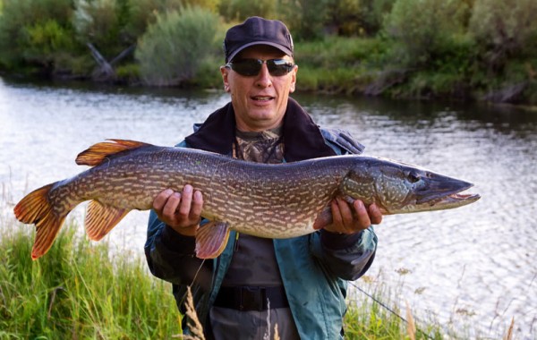 great catch