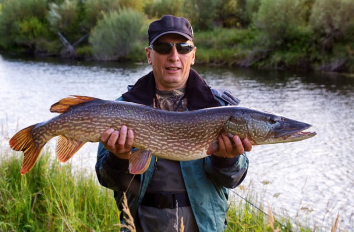 great catch