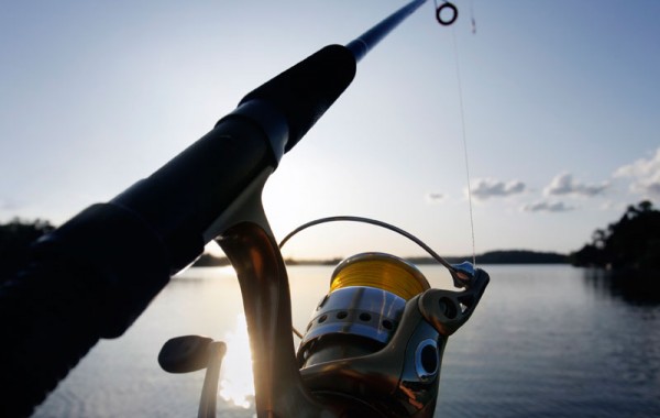 fishing rod