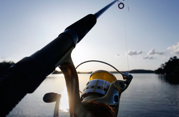 fishing rod