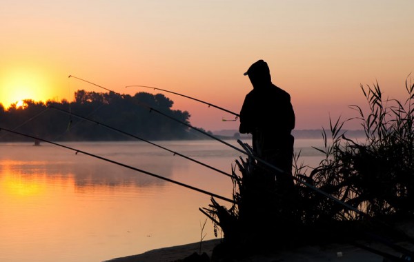 night fishing