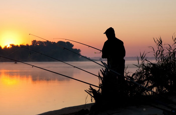 night fishing