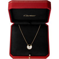 Amulette de Cartier necklace 4
