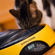 Andrew-James-4-Day—Meal-Automatic-Pet-Feeder (3)