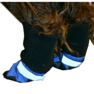 HDP-Dog-Boots-Blue-Set-of-4-Medium_4 HDP-Dog-Boots-Blue-Set-of-4-Medium_4