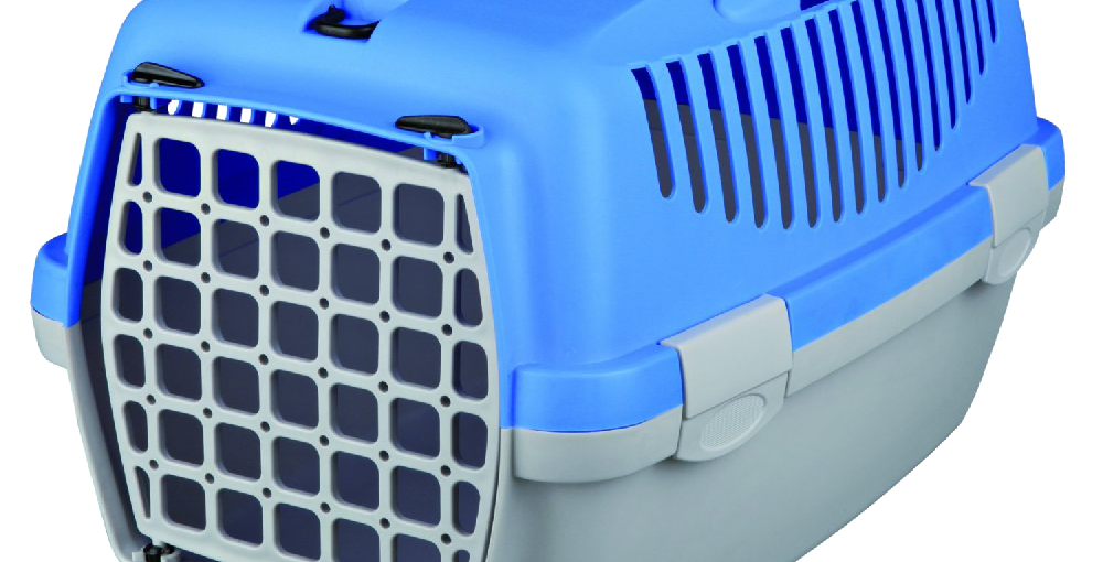 Laser therapy: A promising trend in veterinary medicine