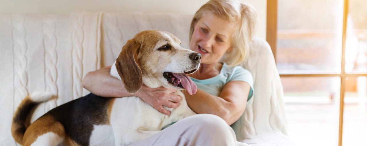 A Doggie Kiss A Day Keeps the Doctor Away