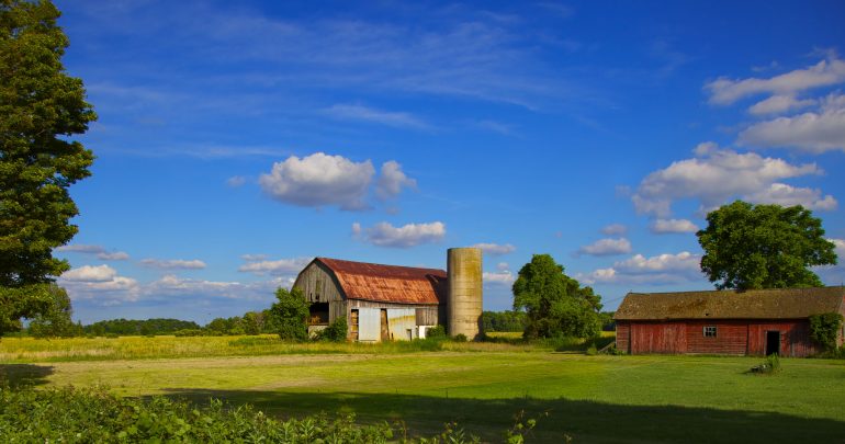 Pumpking Farm