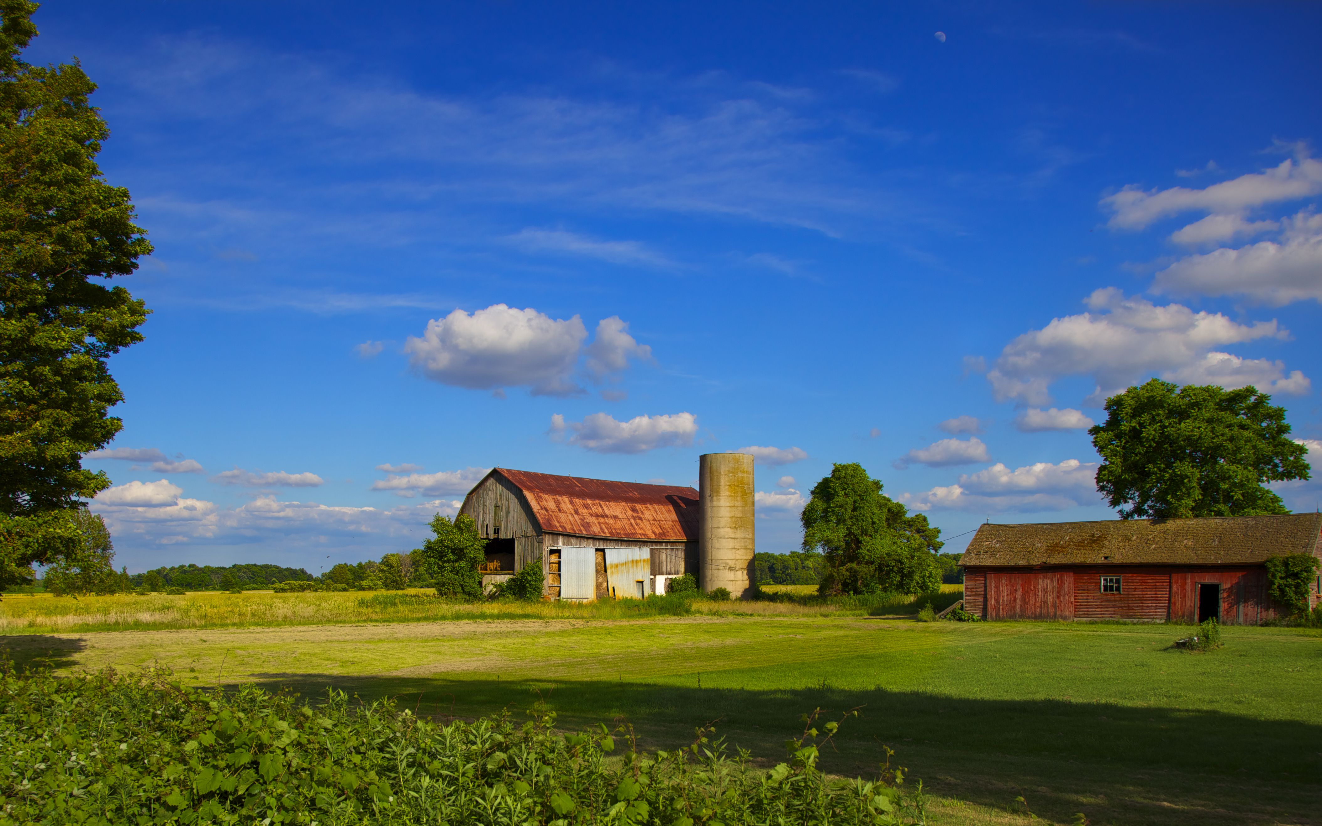 Depositphotos_3357614_original