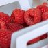 Freeze Dried Raspberries 3