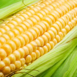 Garden Supreme IQF Supersweet Corn Kernels 2