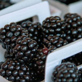 Stahlbush Marion Blackberries 2