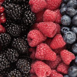 Fruits & Berries