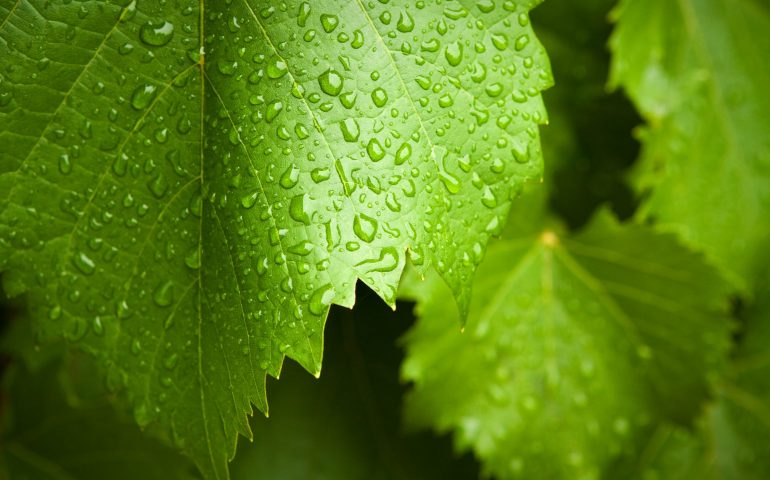 Depositphotos_11338931_original