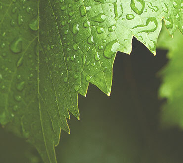 baner-8