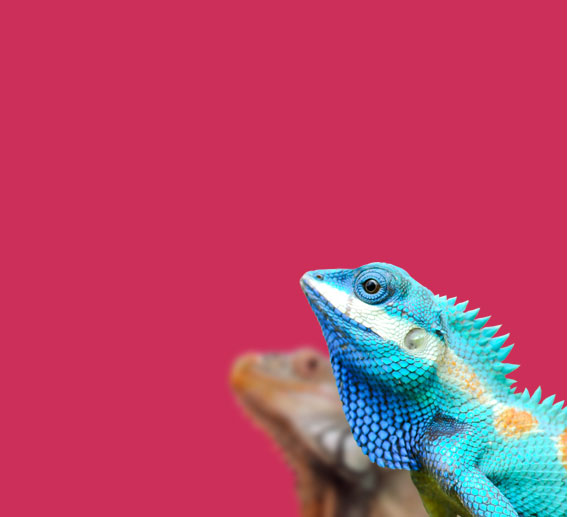 banner-2_03
