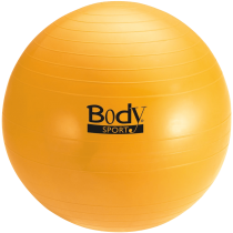 Body Sport Fitness Ball_5