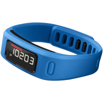 Garmin Vivofit Fitness Band_4