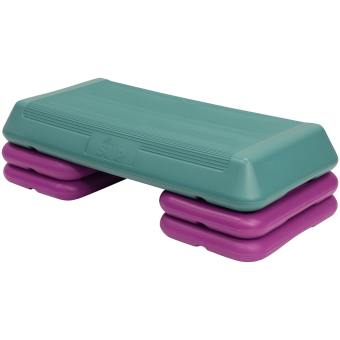 The Step F1004 Step Workout System_5