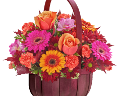 Autumn Basket 01