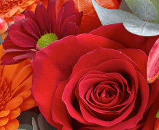Autumn Basket 05