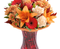 Autumn Shades Perfect Gift 01 Autumn Shades Perfect Gift 01