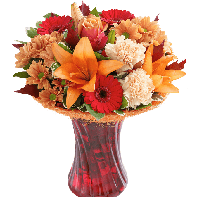 Autumn Shades Perfect Gift 01