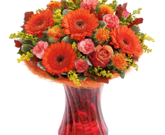 Autumn Shades Perfect Gift 04 Autumn Shades Perfect Gift 04