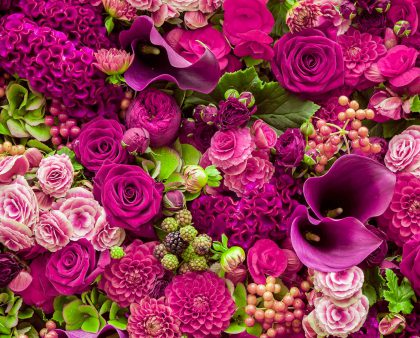 Which Country in the World Grows the Most Flowers?