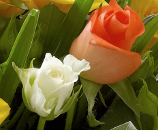Fairtrade Golden Autumn Hand tied 02