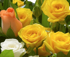 Fairtrade Golden Autumn Hand tied 03