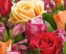 Fairtrade Golden Autumn Hand tied 05