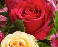 Fairtrade Golden Autumn Hand tied 06