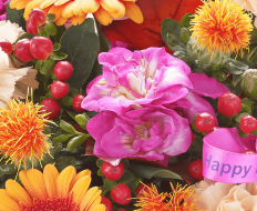 Happy Birthday Autumn Brights Globe 02 Happy Birthday Autumn Brights Globe 02