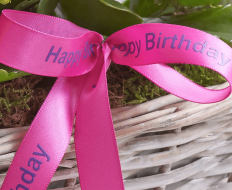 Happy Birthday Kalanchoe Basket 03 Happy Birthday Kalanchoe Basket 03