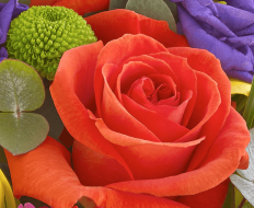 Happy Birthday Vibrant Exquisite Arrangement 03 Happy Birthday Vibrant Exquisite Arrangement 03