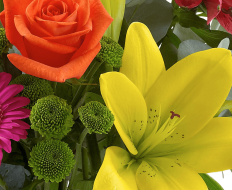 Happy Birthday Vibrant Exquisite Arrangement 05 Happy Birthday Vibrant Exquisite Arrangement 05