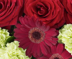Heavenly Red Rose Hand tied 02 Heavenly Red Rose Hand tied 02