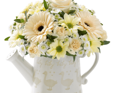 Little Duckling Watering Can Cream with Bailey Bear 01 Little Duckling Watering Can Cream with Bailey Bear 01