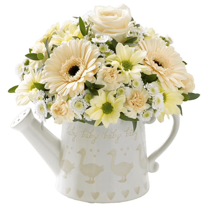 Little Duckling Watering Can Cream with Bailey Bear 01