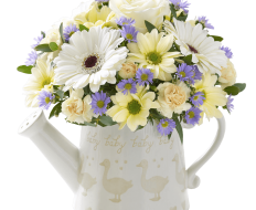 Little Duckling Watering Can Cream with Bailey Bear 04 Little Duckling Watering Can Cream with Bailey Bear 04