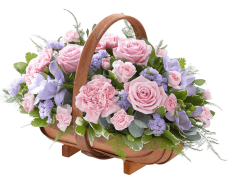Mixed Basket Pink and Lilac 01 Mixed Basket Pink and Lilac 01