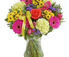 New Baby Vibrant Hand tied or Vase 01 New Baby Vibrant Hand tied or Vase 01