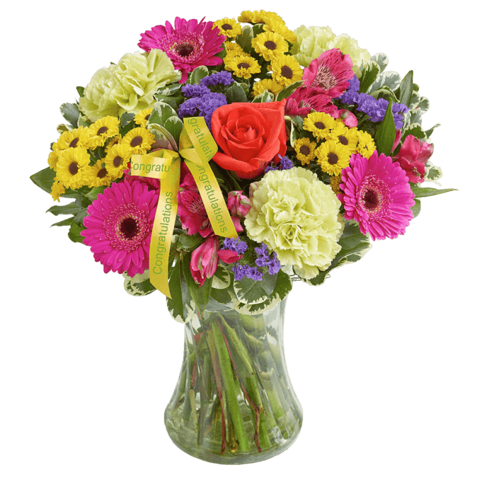 New Baby Vibrant Hand tied or Vase 01