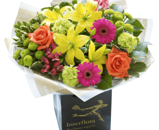 New Baby Vibrant Hand tied or Vase 04 New Baby Vibrant Hand tied or Vase 04