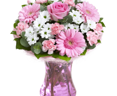Pink Perfect Gift 01 Pink Perfect Gift 01