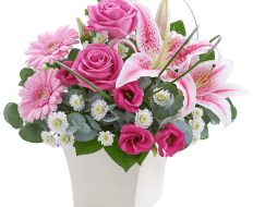 Pink Perfect Gift 05 Pink Perfect Gift 05