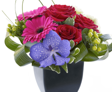 Rose, Gerbera and Vanda Orchid Arrangement 01